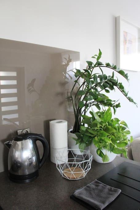 Uroczy, Jasny Apartament Oraz Bezplatny Parking! Apartment Krakow Ngoại thất bức ảnh